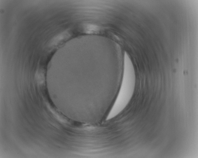 X0000083050620200702231957