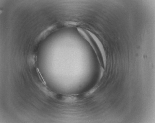 X0000083050621200702231957