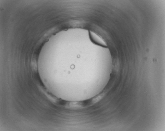 X0000083050622200702231957