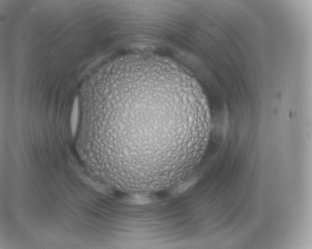 X0000083050623200702231957