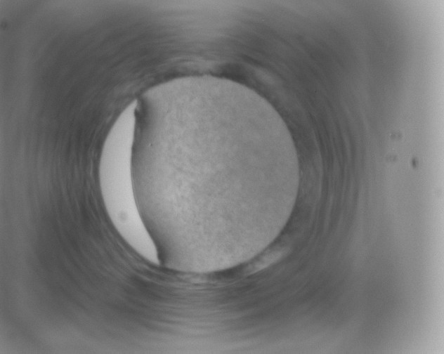 X0000083050624200702231957