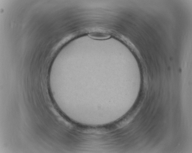 X0000083050625200702231956