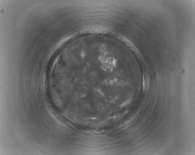 X0000083050627200702231956