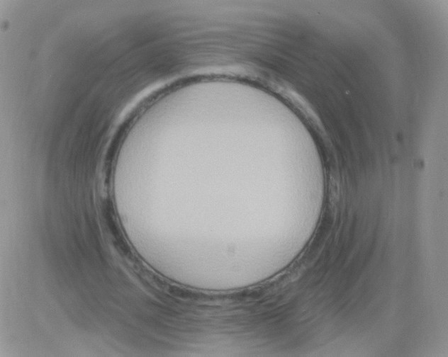 X0000083050628200702231956