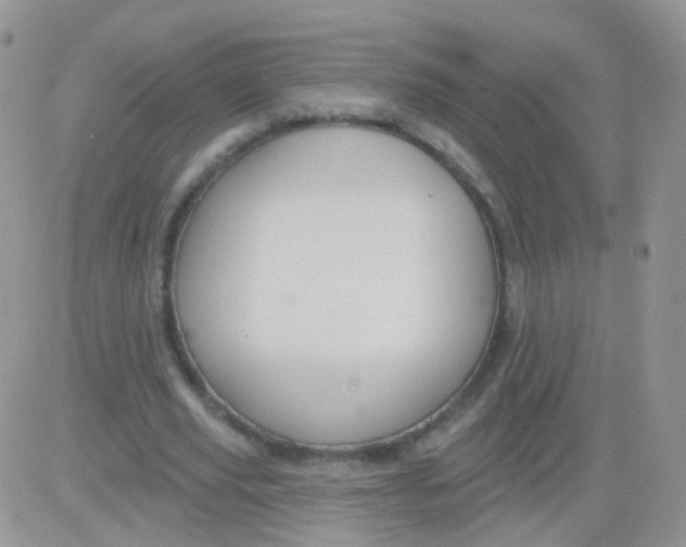 X0000083050629200702231956