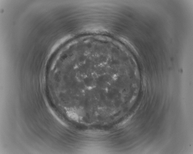 X0000083050630200702231956