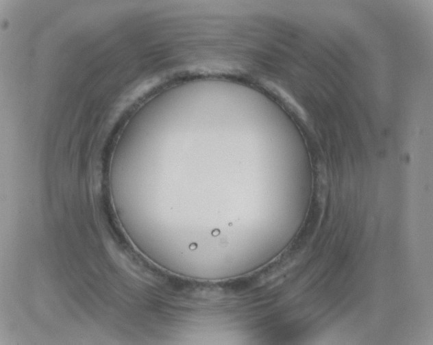 X0000083050631200702231956