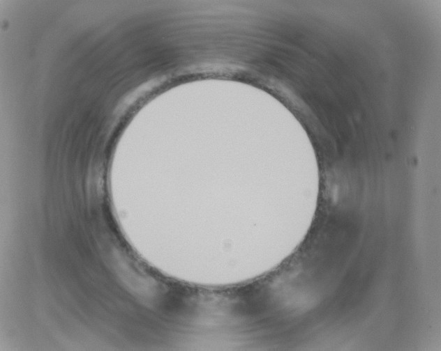 X0000083050632200702231956