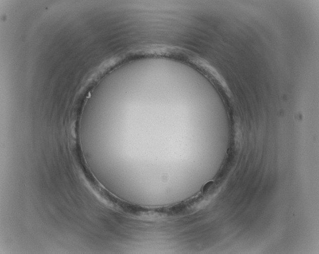 X0000083050633200702231956