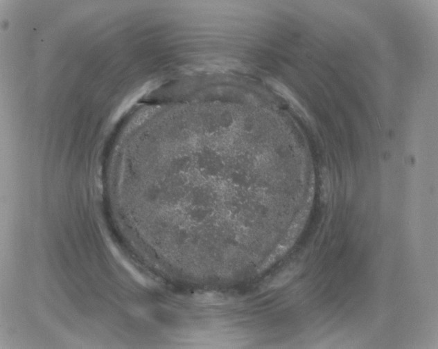 X0000083050634200702231956