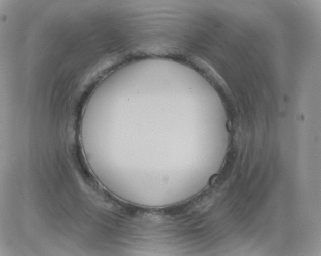 X0000083050635200702231956