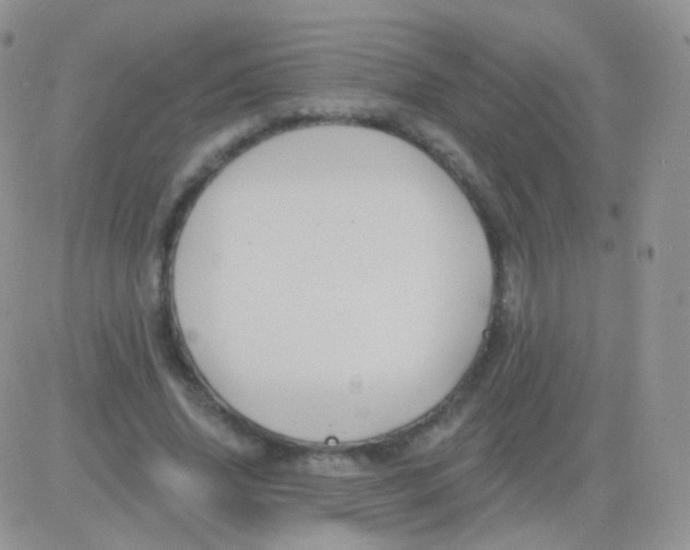 X0000083050636200702231956