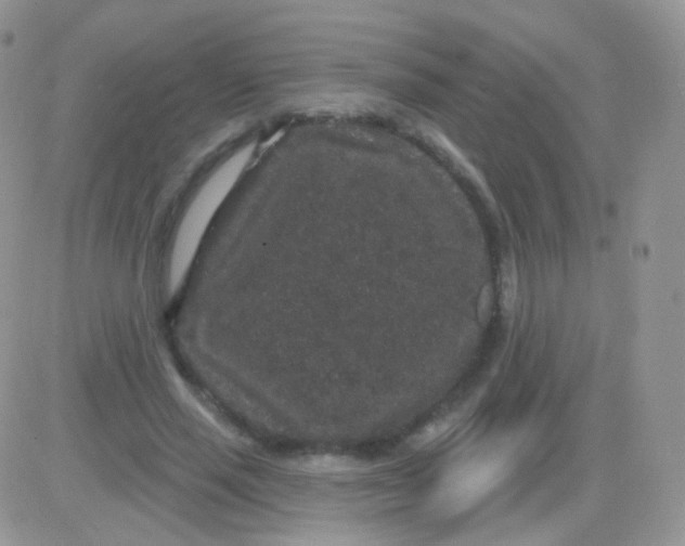 X0000083050637200702231956