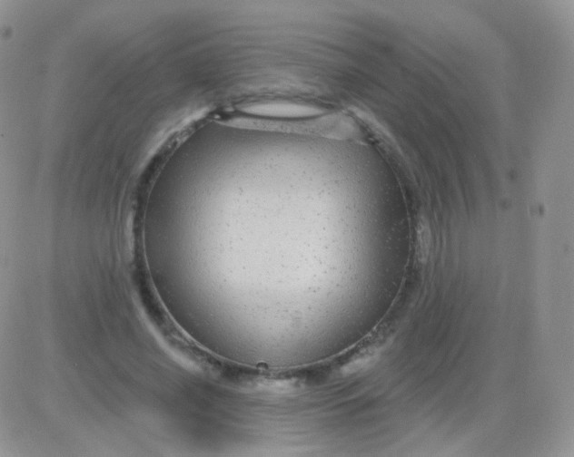 X0000083050638200702231956