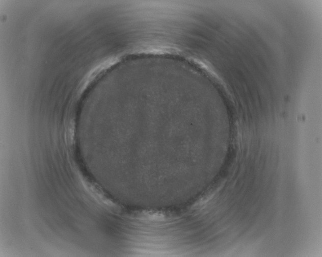 X0000083050640200702231956