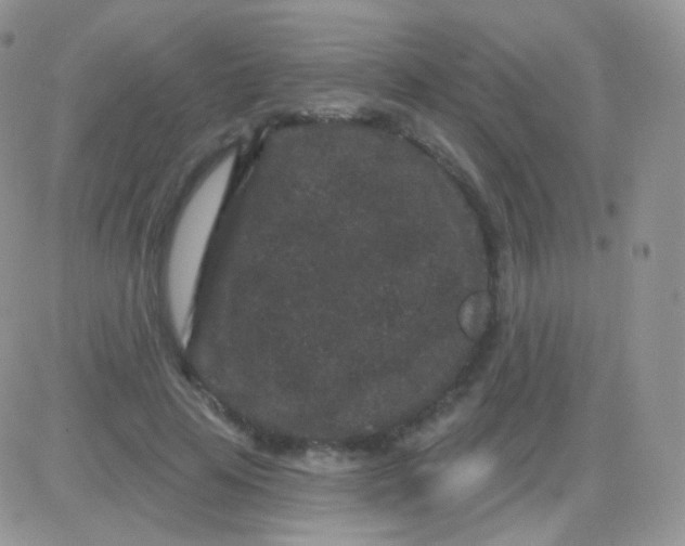 X0000083050641200702231956