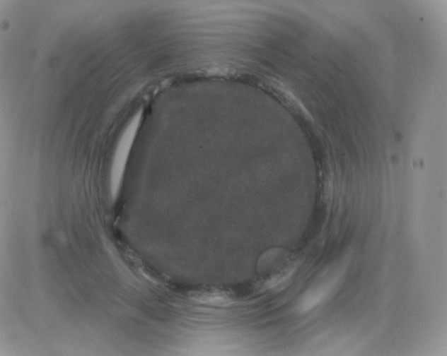 X0000083050643200702231956