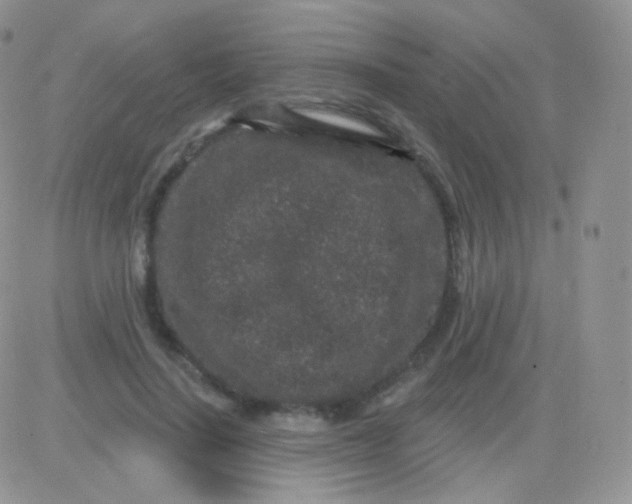 X0000083050644200702231956