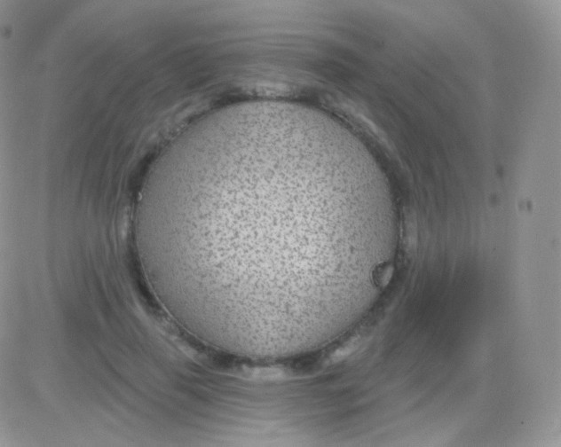 X0000083050645200702231956