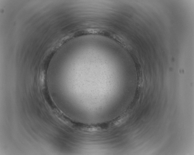 X0000083050646200702231956