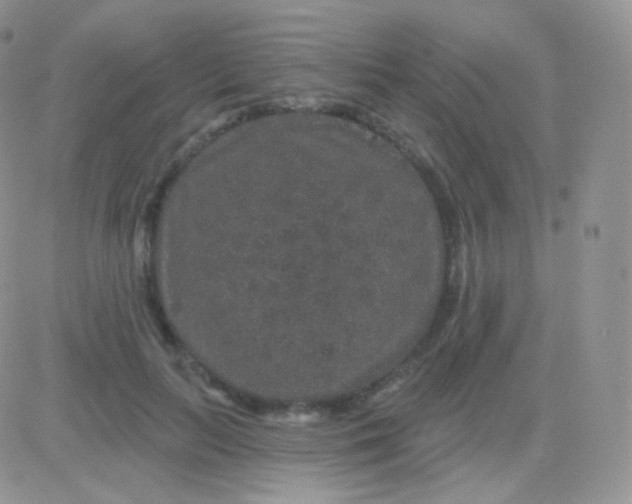 X0000083050647200702231956