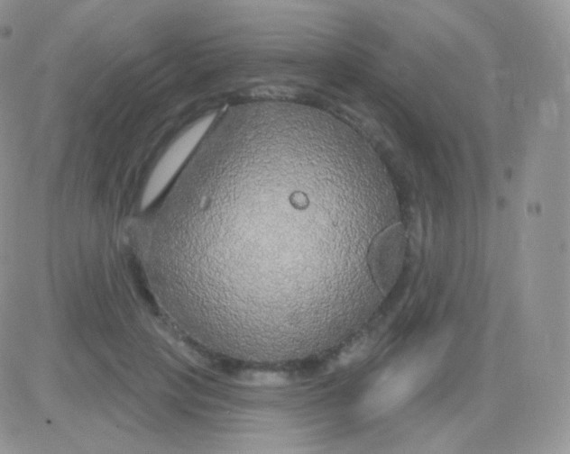 X0000083050649200702231956