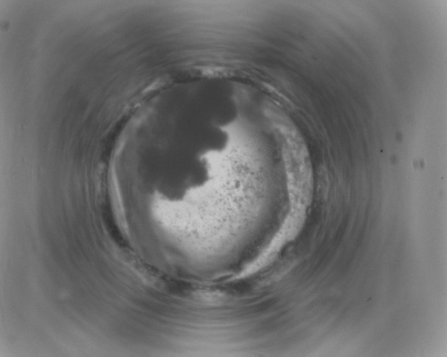 X0000083050650200702231956