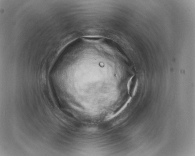 X0000083050651200702231956