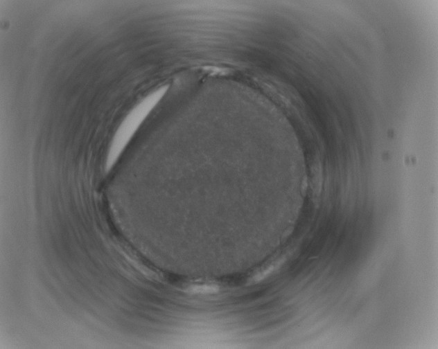 X0000083050653200702231956