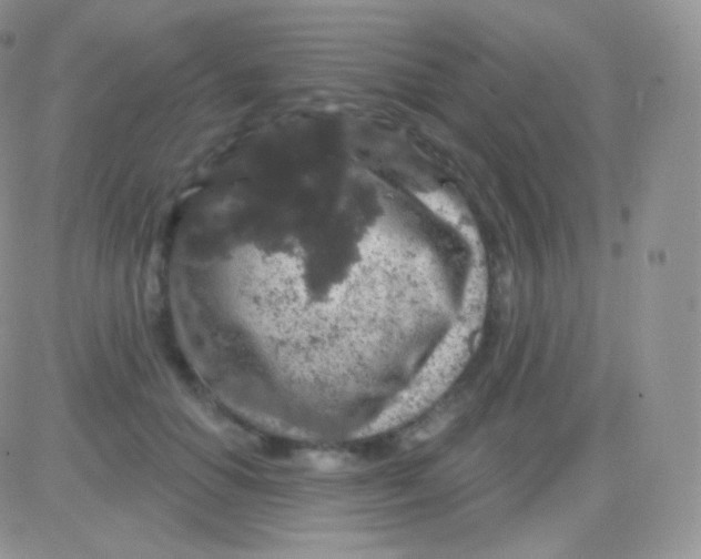 X0000083050654200702231956