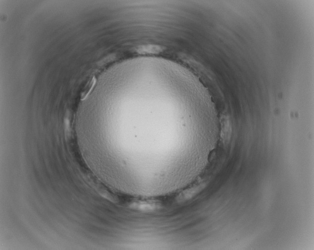 X0000083050655200702231956