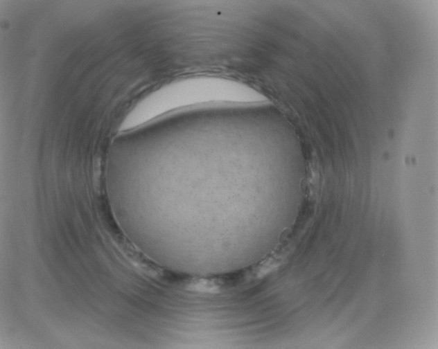 X0000083050656200702231956