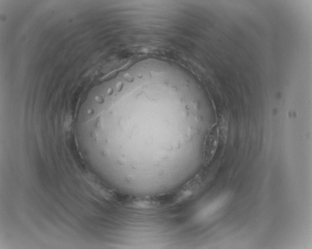 X0000083050657200702231956