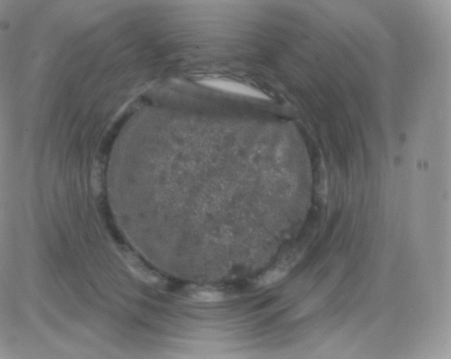 X0000083050658200702231956