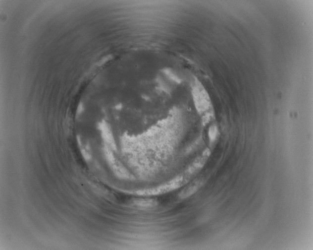 X0000083050659200702231956