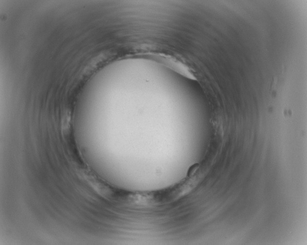 X0000083050660200702231956