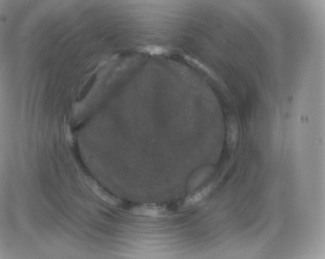 X0000083050661200702231956