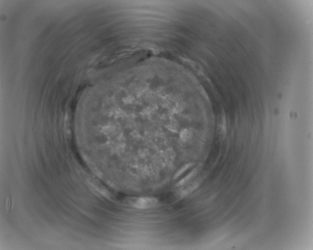 X0000083050663200702231956