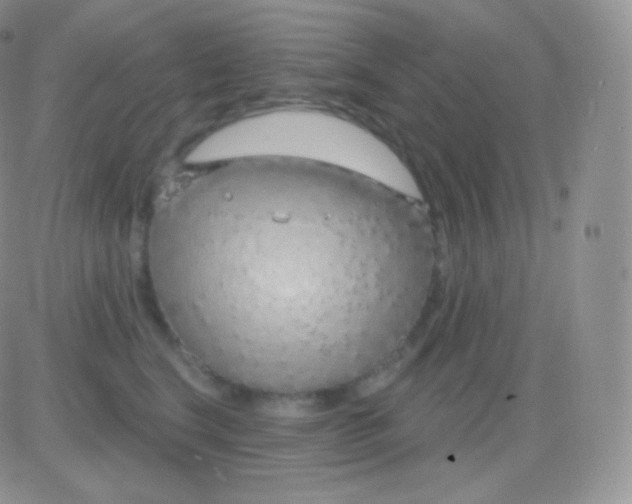 X0000083050664200702231956