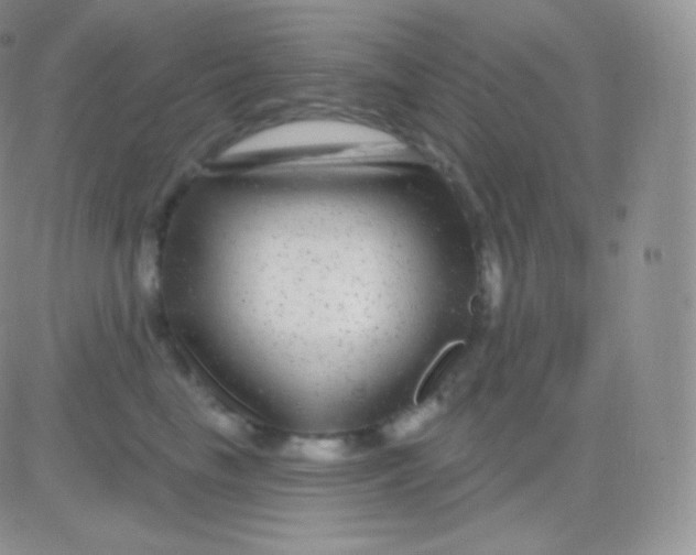 X0000083050665200702231956