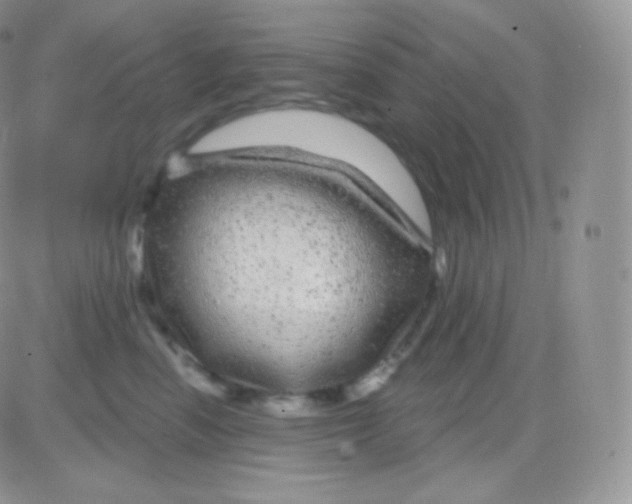 X0000083050666200702231956