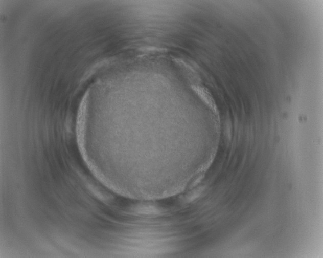 X0000083050668200702231957