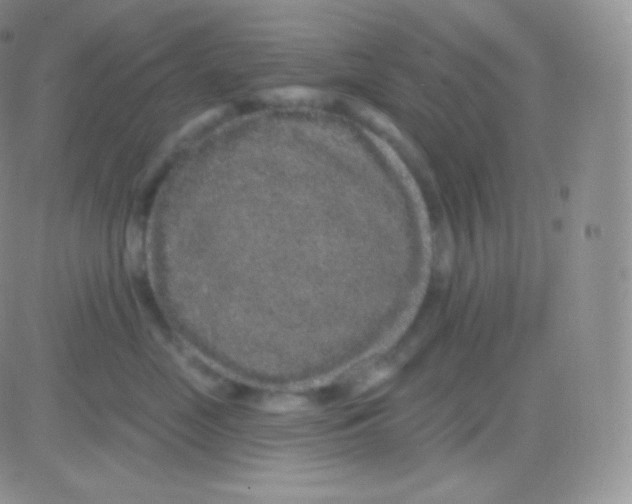 X0000083050669200702231957