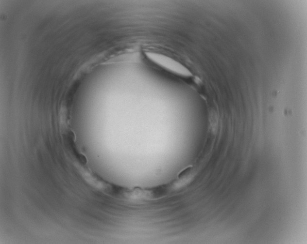 X0000083050670200702231957