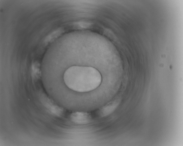 X0000083050672200702231957