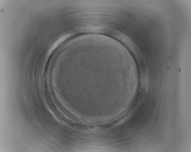 X0000083050674200702231956