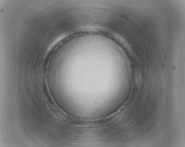 X0000083050675200702231956