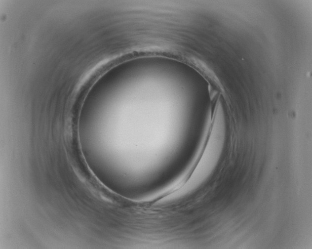 X0000083050676200702231956