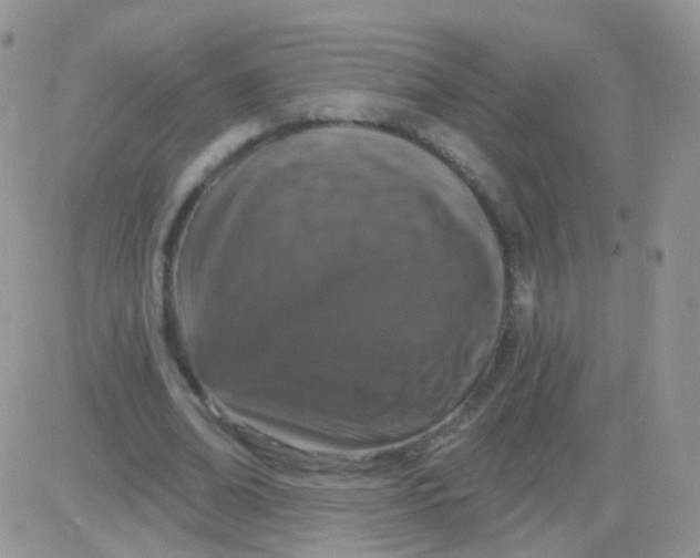 X0000083050678200702231956