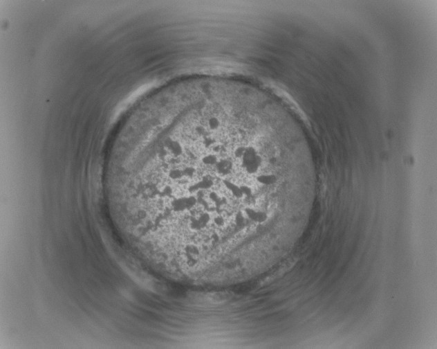 X0000083050679200702231956